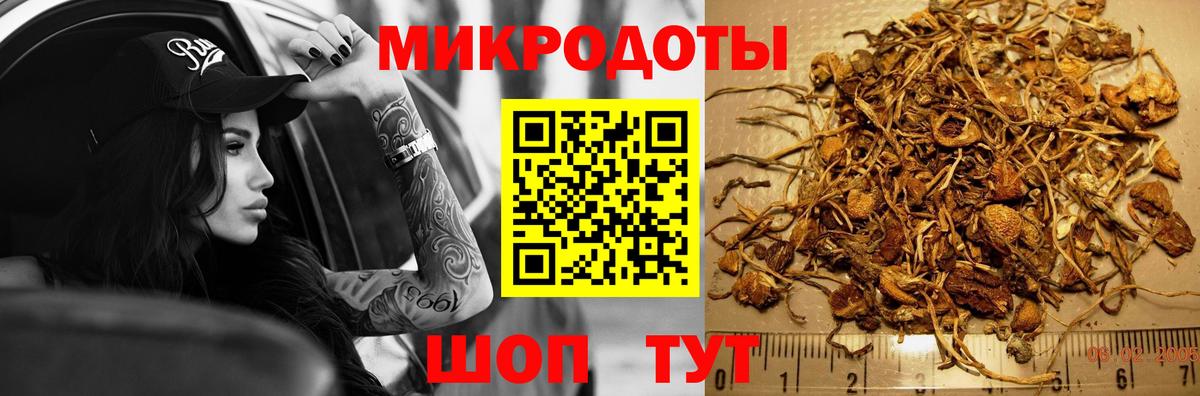 Галлюциногенные грибы Cubensis  Галлюциногенные грибы мицелий  Волхов  наркошоп  Вход с VPN 